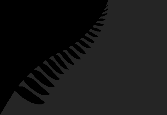 Experience card background