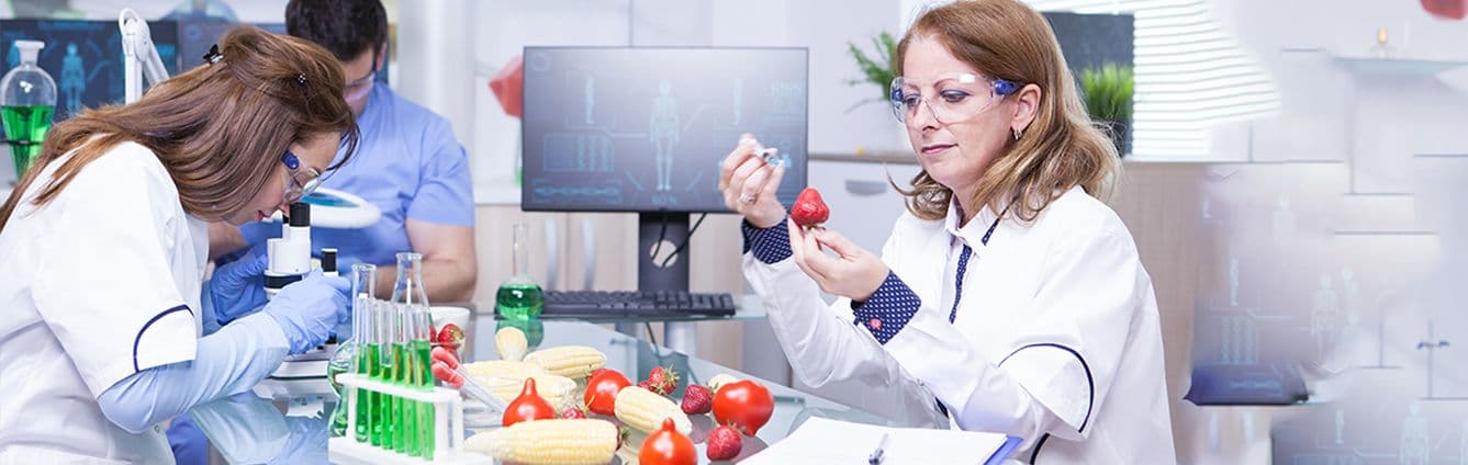 Master of Science in Food Innovation