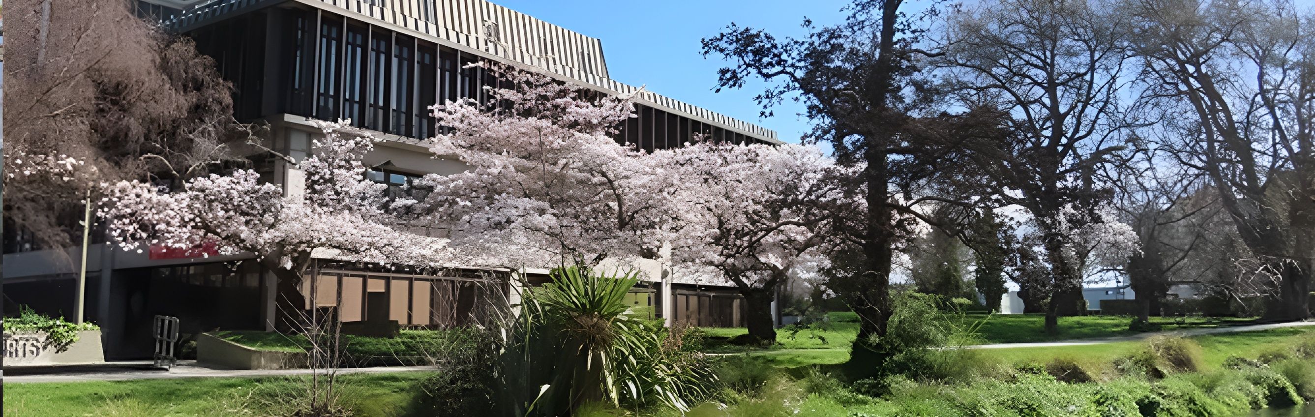 CCC – Christchurch City College